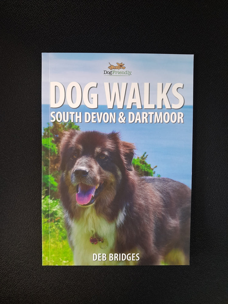 Dog Friendly Walks in South Devon & Dartmoor