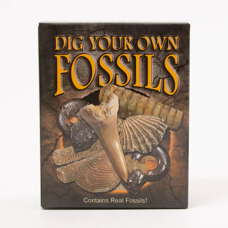 Dig Your Own Fossils