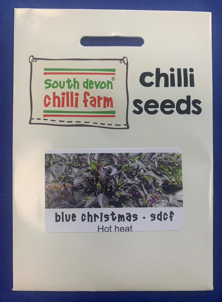 South Devon Chilli Farm Blue Christmas Chilli Seeds