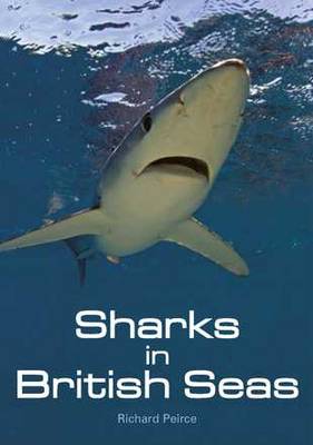 Sharks in British Seas by Richard Peirce