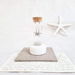 Starfish Earrings in a Bottle