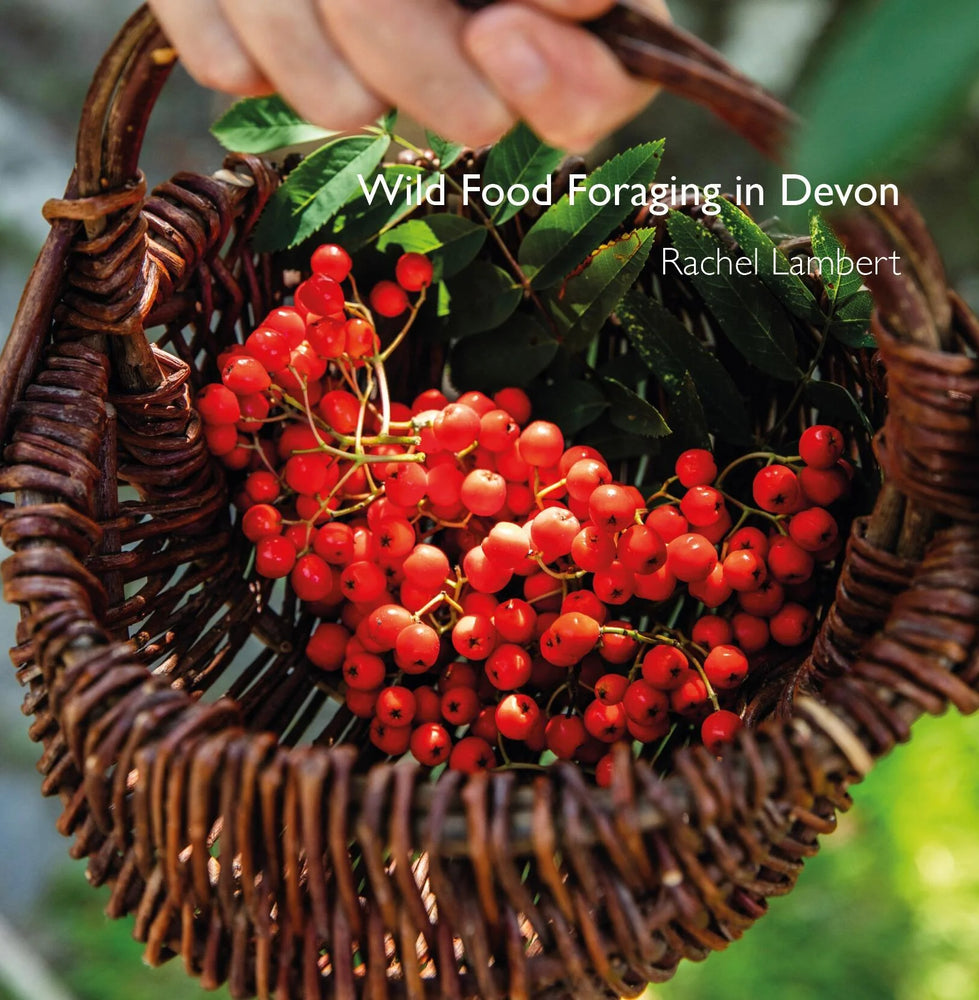 Wild Food Foraging in Devon by Rachel Lambert