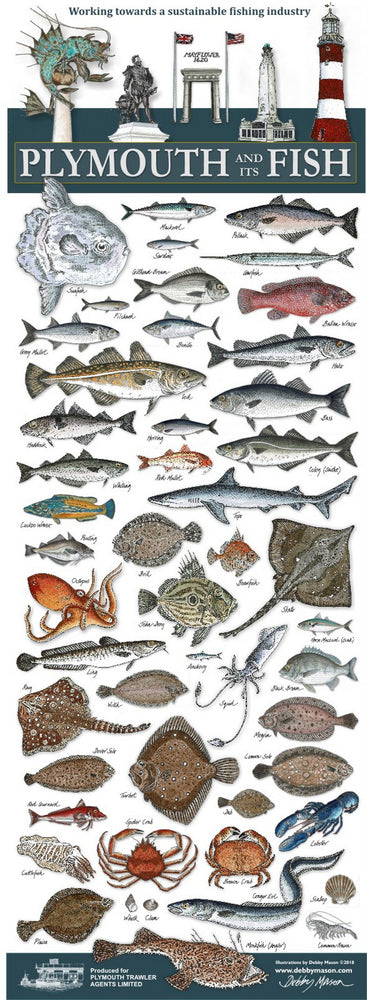 Plymouth and its Fish Poster by Debby Mason